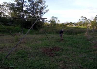 Segue as ações de recuperação ambiental na sede recreativa em Quarta Linha