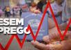 1º de Maio - Desemprego bate recorde e atinge 14,4 milhões de pessoas, maior número desde 2012